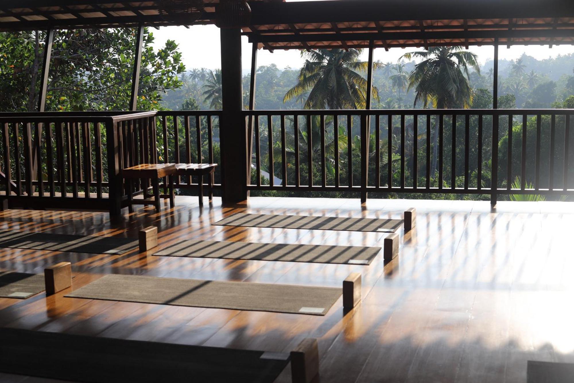 The Jungle View Hotel Mirissa Exterior foto